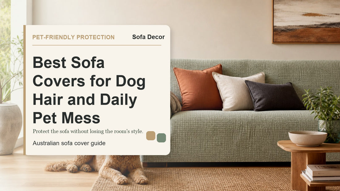 Best Sofa Covers for Dog Hair and Daily Pet Mess - Sofa Decor Australia editorial guide image