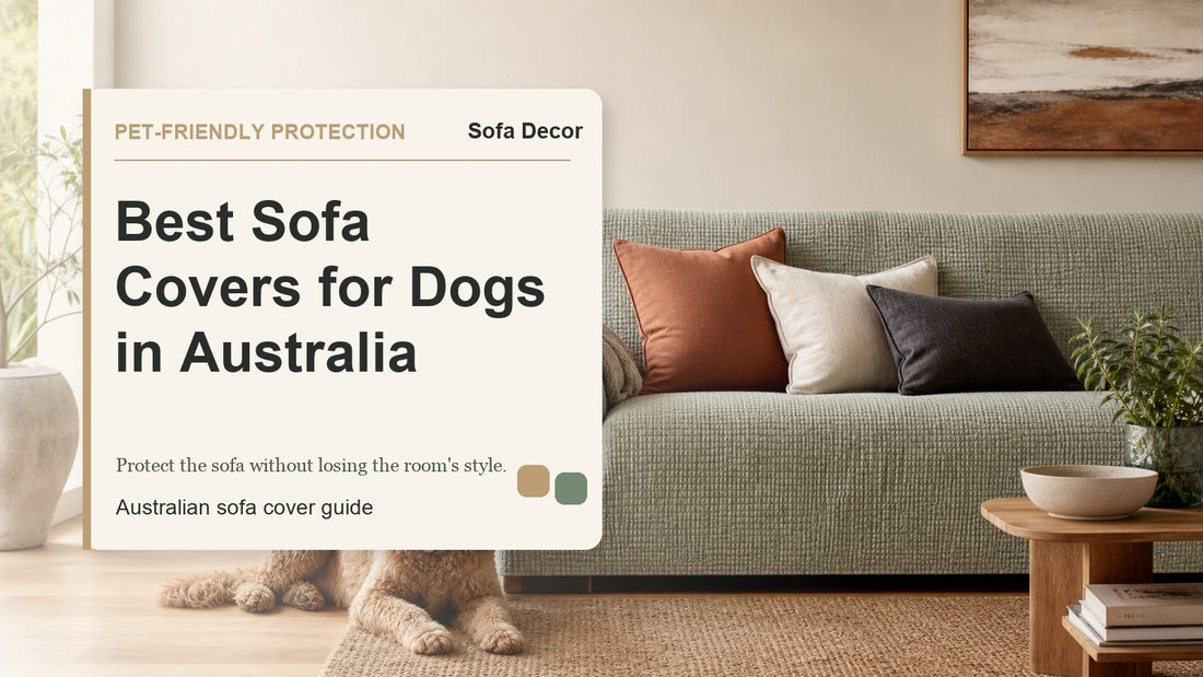 Best Sofa Covers for Dogs in Australia - Sofa Decor Australia editorial guide image