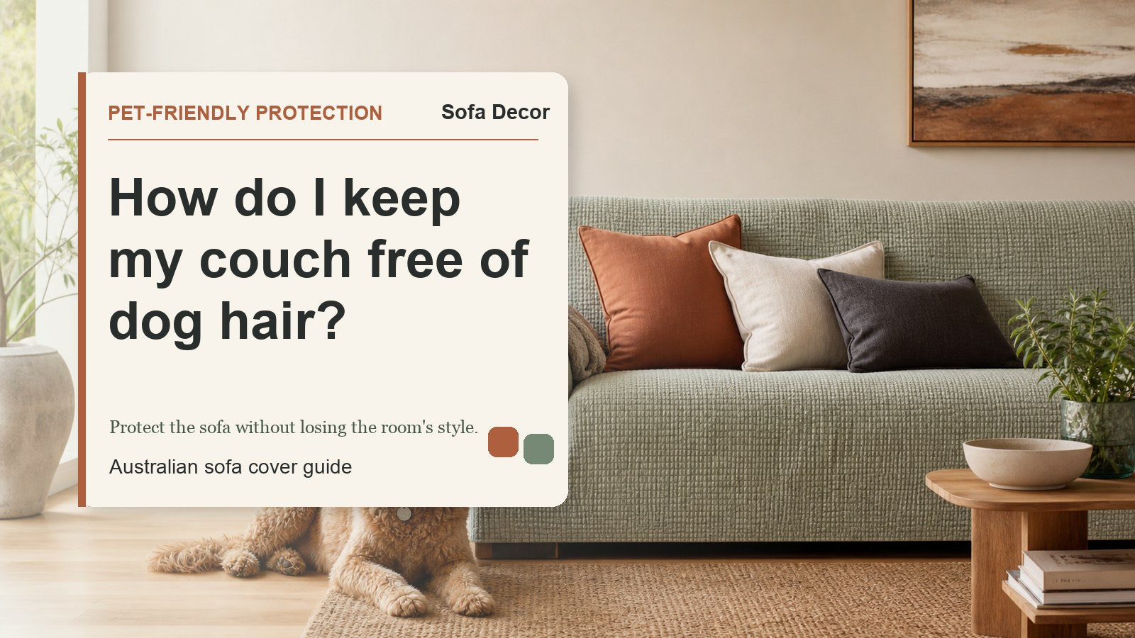 How do I keep my couch free of dog hair? - Sofa Decor Australia editorial guide image