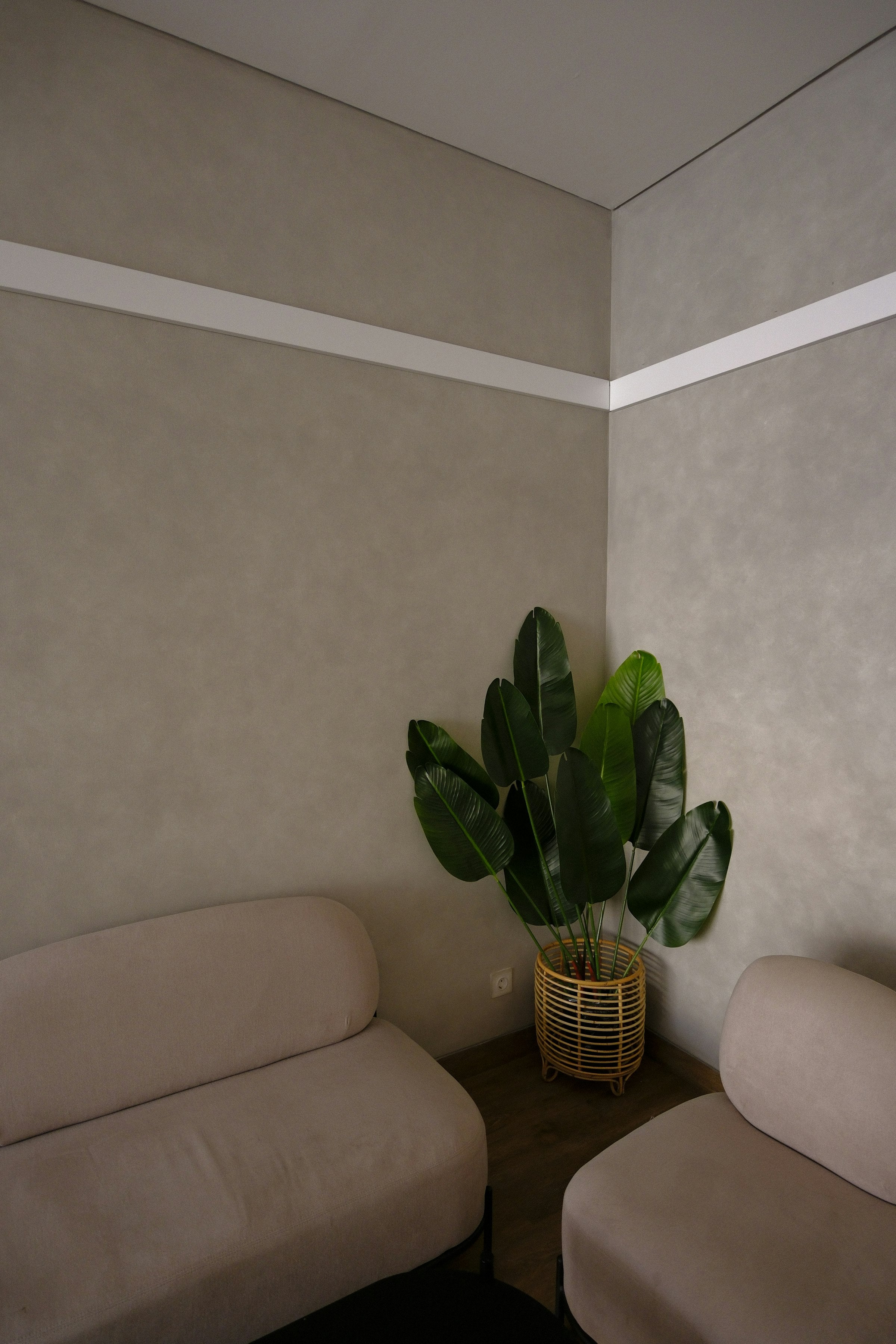 Styled neutral living room with sofa cushions and natural light for Sofa Decor styling guide
