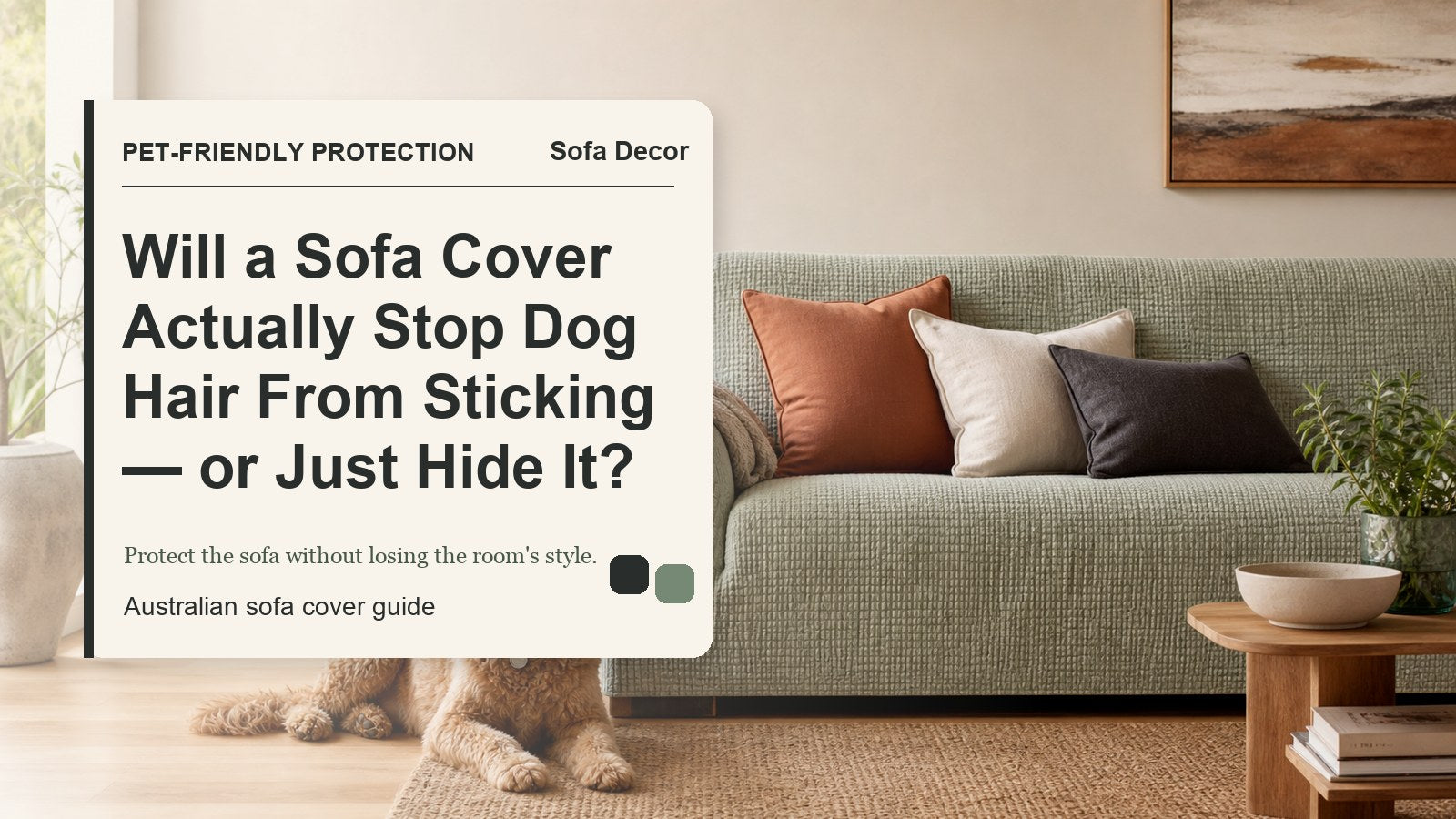 Will a Sofa Cover Actually Stop Dog Hair From Sticking — or Just Hide It? - Sofa Decor Australia editorial guide image