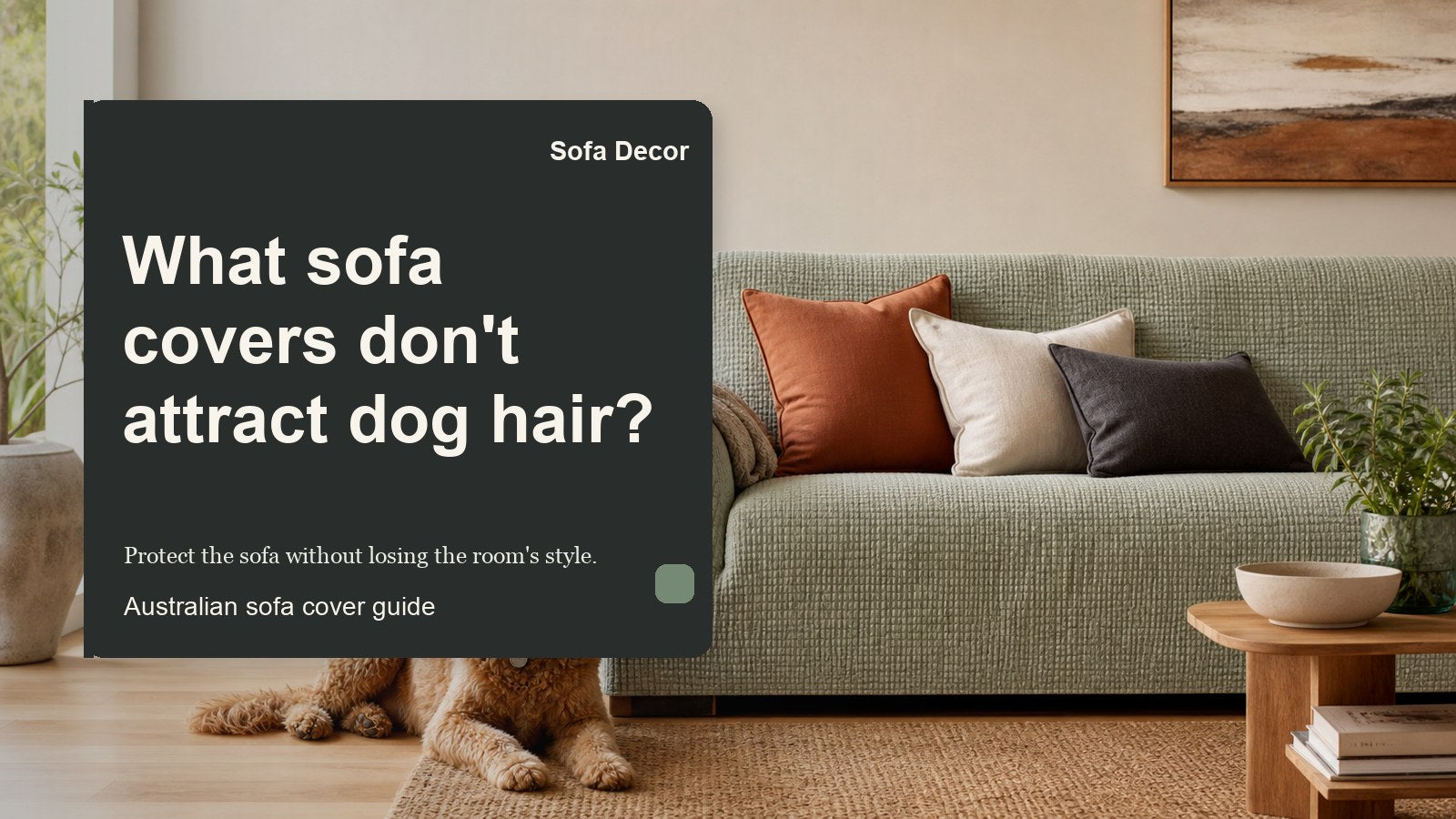 What sofa covers don't attract dog hair? - Sofa Decor Australia editorial guide image